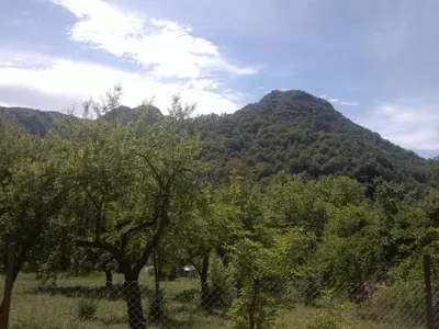 a mountain with a bunch of trees in a field at Villa Nanevi in Teteven