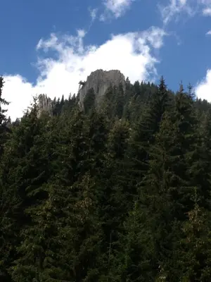 a mountain covered in green trees with a sky at Ski Apartment in Castle Complex in Pamporovo