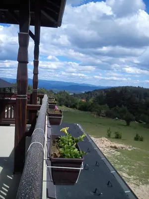a balcony with plants on the ledge of a house at Rusaliite Adventure House in Bachevo