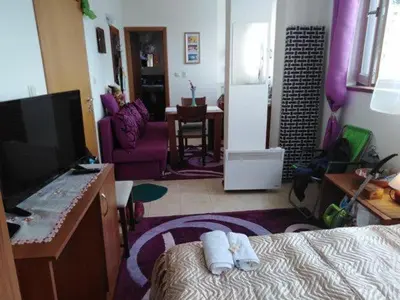 a room with a bed and a tv and a living room at Пампорово Студио М хотел в Росица in Pamporovo