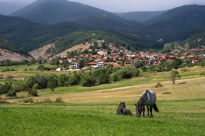 two horses grazing in a field with a town in the background at NEXT TO GONDOLA. Cosy & Elegant 2 Bedroom apartment in Neon Complex in Bansko