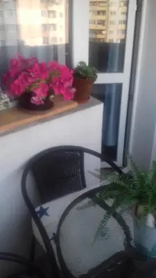 a chair sitting in front of a window with flowers at MVK in Sofia