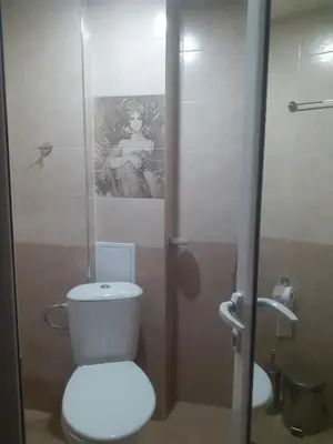 a bathroom with a toilet and a picture of a woman at Семеен Хотел Хайдутите in Sandanski