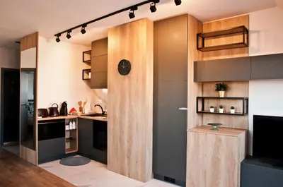 a kitchen with a wooden partition with a tv in it at Apartment City View in Sofia