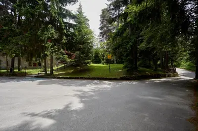 an empty street with trees in a park at Хотел 