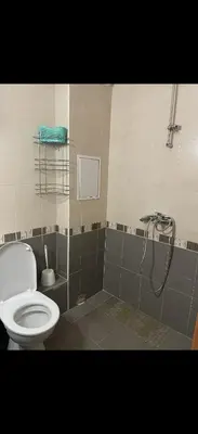 a bathroom with a toilet and a shower at Пампорово , Манастира 3 in Pamporovo