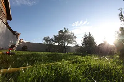 a field of grass with the sun in the background at Ashkova House in Govedartsi