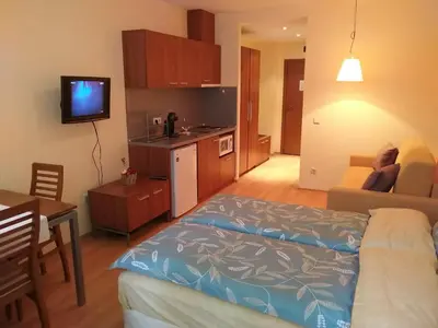 a room with a bed and a kitchen with a television at Studio Villa Park 207 in Borovets