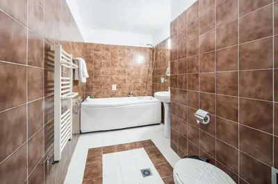 a bathroom with a toilet and a bath tub at Dolna Bania Hotel in Dolna Banya