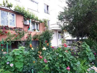 a garden of flowers in front of a building at Tulips - Room for travelers, close to the Airport, transport possible in Sofia
