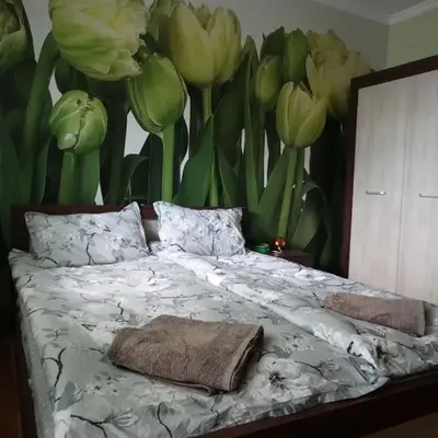 Tulips - Room for travelers
