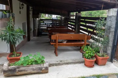 a bench and potted plants on a patio at Guest House Markovi in Govedartsi
