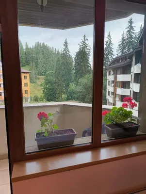 three potted plants sitting on a window sill at Evrika home 5 in Pamporovo