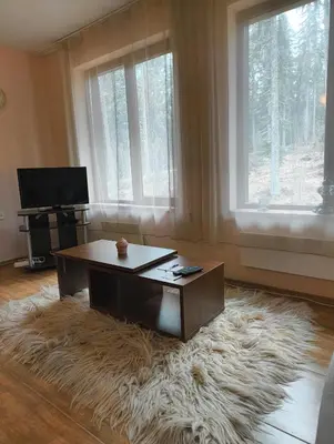 a living room with a coffee table and a furry rug at Evrika home 19 in Pamporovo