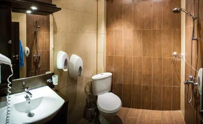 a bathroom with a toilet and a sink at Boriki Complex in Pamporovo
