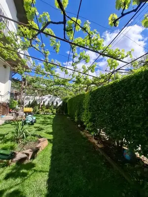 a garden with green grass and a hedge at Стаи за гости Върбите in Sapareva Banya