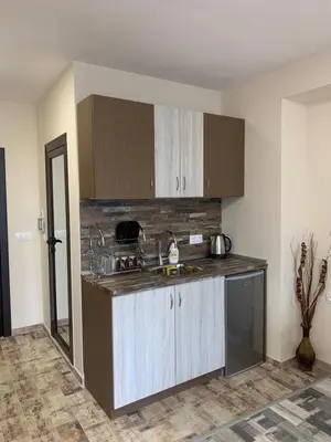 a kitchen with a sink and a counter top at При Павката (Pri Pavkata) in Samokov