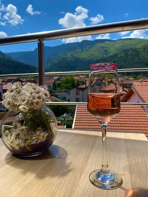 a glass of wine and a vase of flowers on a table at Sapareva Apartments in Sapareva Banya