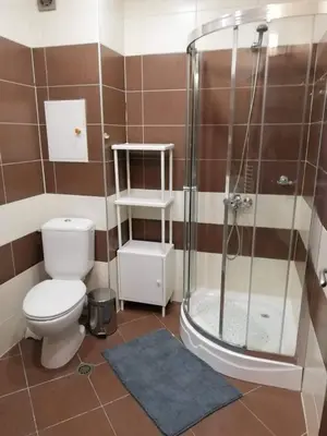 a bathroom with a toilet and a shower at Borovets Apartments, Iglika 2 in Borovets