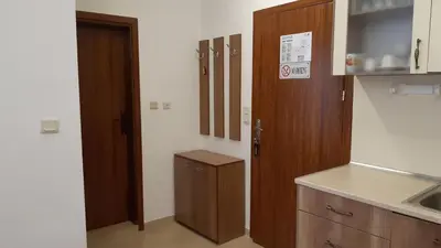 a kitchen with a sink and a wooden door at Апартамент Winter home Iceberg in Pamporovo