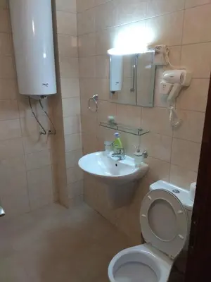 a small bathroom with a toilet and a sink at Elitsa Apartment in Pamporovo