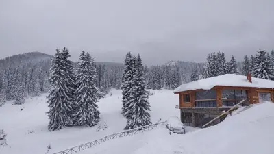 a cabin in the snow with snow covered trees at Вила Морава in Pamporovo