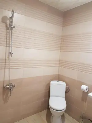 a bathroom with a toilet and a shower at LUXURY SUITES 3 in Karlovo