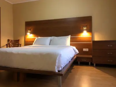 a bedroom with a large bed with a wooden headboard at Dolomiti Apartments in Bansko