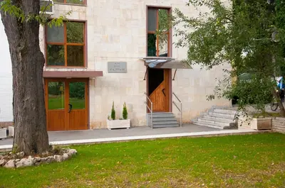 a building with a brown door and a tree at Hotel Balkan in Botevgrad