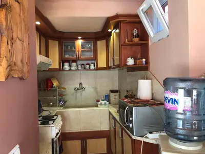 a small kitchen with a stove and a microwave at Vasilevi House in Devin