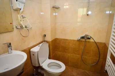 a bathroom with a shower and a toilet and a sink at Guest house VRAZHDEBNA in Sofia