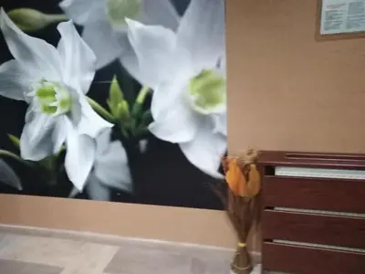 a painting of white flowers on a wall at Спа,ски апартамент Дайли, Стрийм Ризорт Пампорово in Pamporovo
