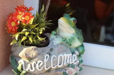 a green frog sitting on a rock next to a plant at Къщи за гости Ореха in Samokov