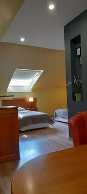 a bedroom with a bed and a skylight at Family Hotel Pchelina in Rilski Manastir