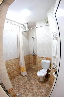 a bathroom with a toilet and a shower at Приятелската къща in Velingrad