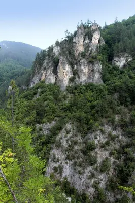 a rocky mountain with trees and bushes on it at Къща край реката - Триград in Trigrad