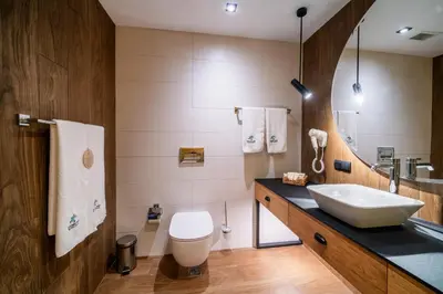 a bathroom with a sink and a toilet at SPA Complex Belchin Spring in Belchin