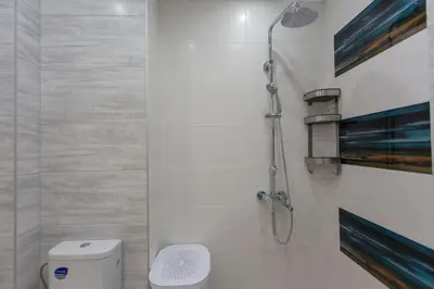 a bathroom with a shower and a toilet at Apartment 