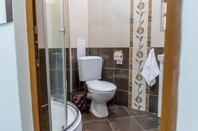 a bathroom with a toilet and a shower at Studio Anastasia in Sapareva Banya
