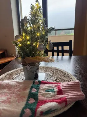 a christmas tree in a vase on a table at Sunny Duplex, Mountain Views, Spa Access, Near Bansko, Terra Complex in Razlog