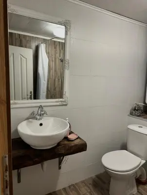 a bathroom with a sink and a toilet and a mirror at Къща за гости Виевци in Vievo