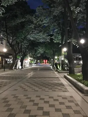 an empty street at night with trees and lights at Vega Apartment in Velingrad