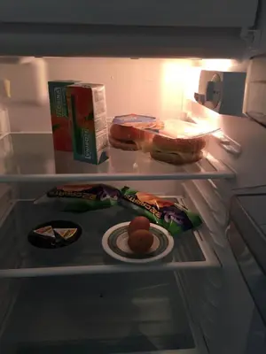 an open refrigerator with food on a plate in it at Guest Apartment Balkan in Karlovo