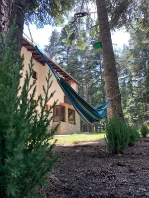 a hammock hanging from a tree in front of a house at Вила Пенчеви, кк. Цигов чарк in Tsigov Chark
