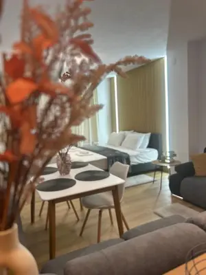 a living room with a couch and a table at Sandanski Apartments Park Center in Sandanski