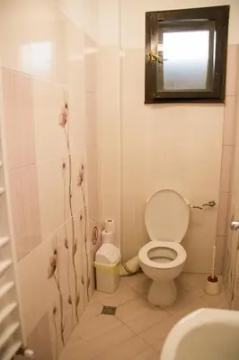 a bathroom with a toilet and a sink and a mirror at вила Топи in Kaloyanovo