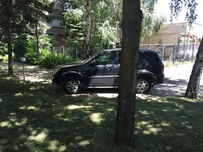 a black car parked next to a tree at Hostel Elena in Sofia