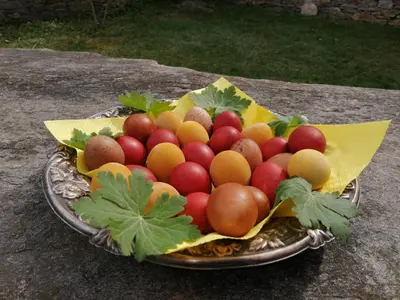 a bowl of tomatoes and other vegetables on a table at Къща за гости Кануш войвода in Kovachevitsa