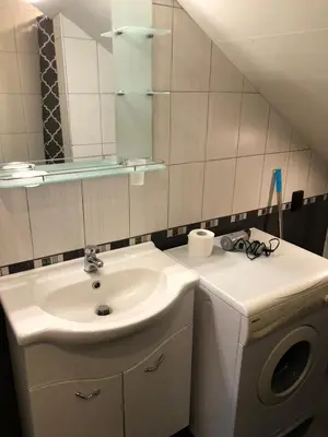 a bathroom with a sink and a washing machine at Pavlovi Apartments in Samokov