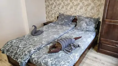 a dog laying on top of a bed at Къща за гости ЕКО in Tsigov Chark